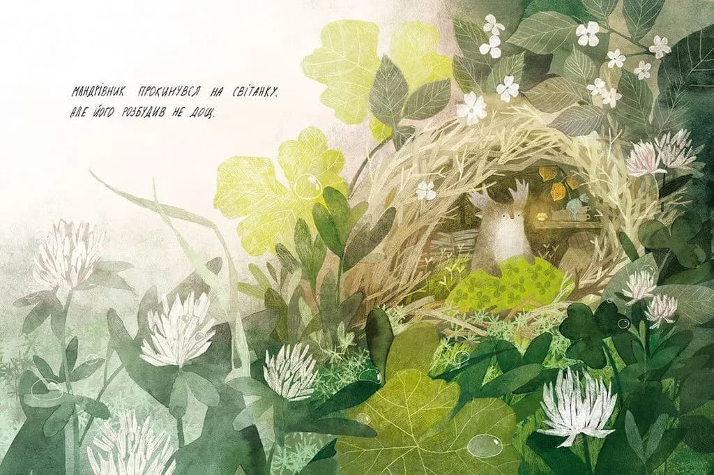 Туконі - мешканець лісу, фото - 2