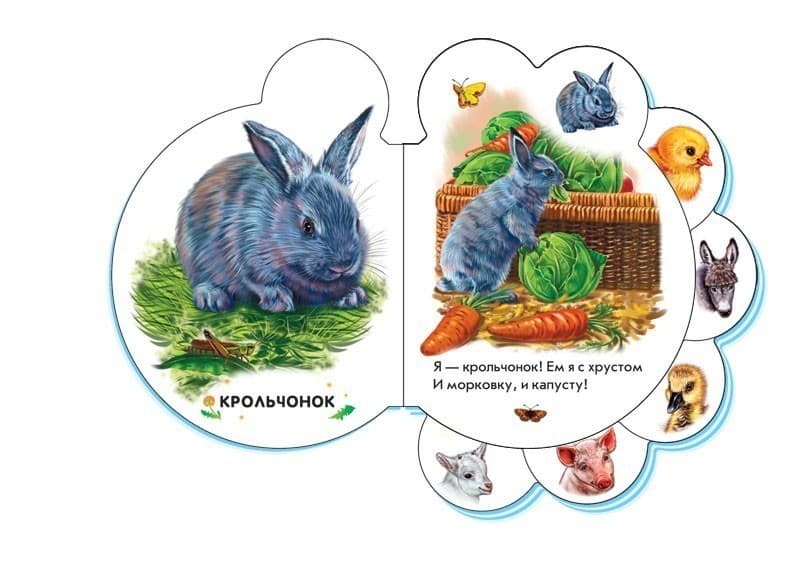 Во дворе, фото - 2