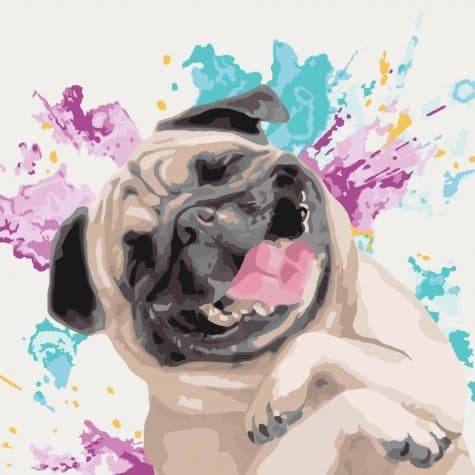 Набір для розпису по номерах. Тварини, птахи &amp;quot;Улюблений веселун&amp;quot; 40*40см, фото - 1