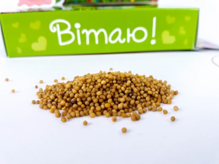 Жива листівка. Слоники, фото - 2