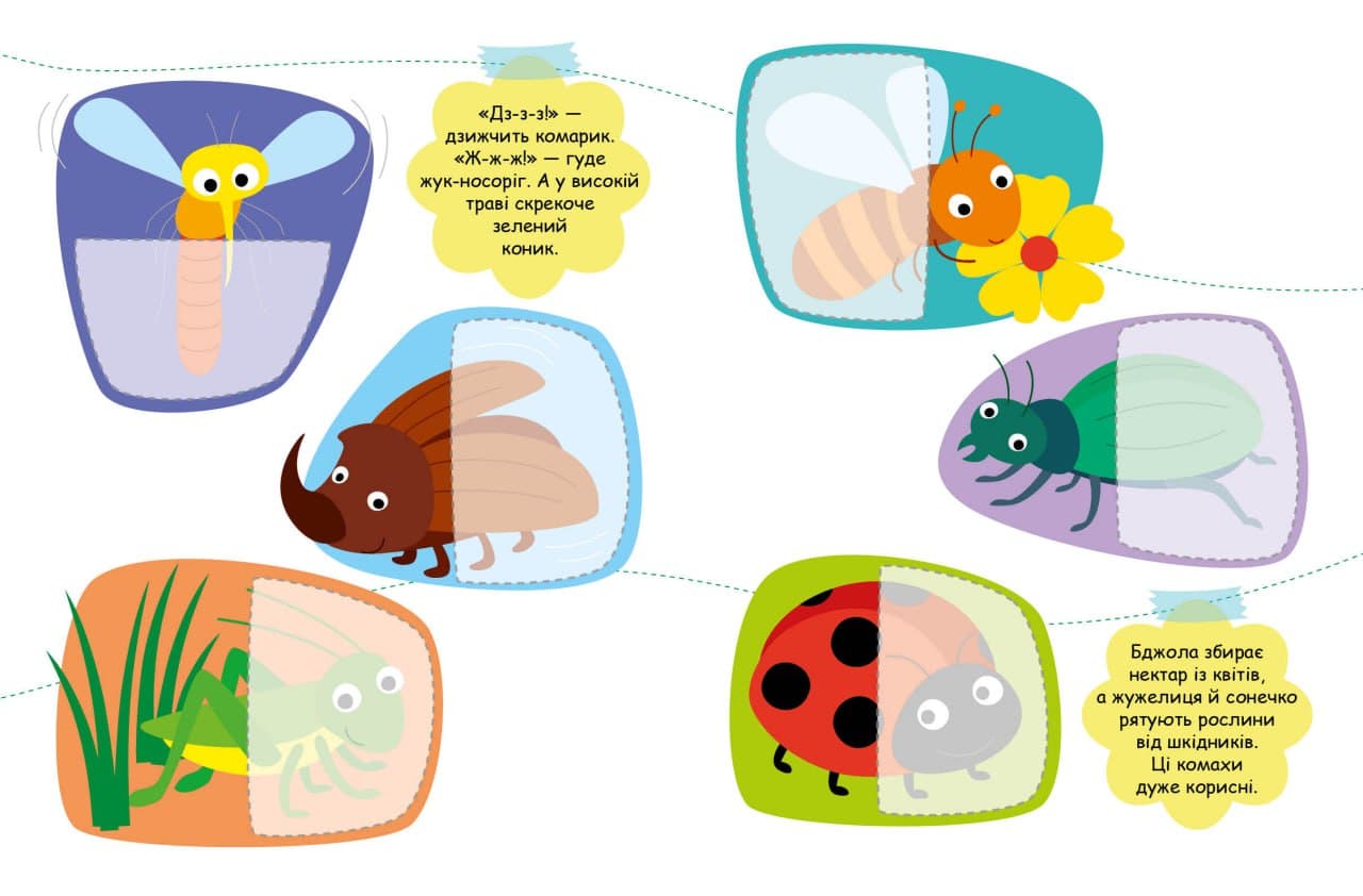 Комахи, фото - 2