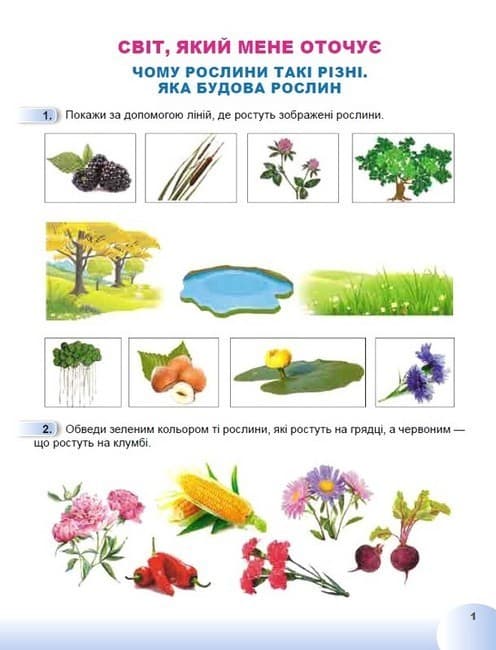 Я досліджую світ. 1 клас. Робочий зошит з інтегрованого курсу. Частина 2, фото - 2