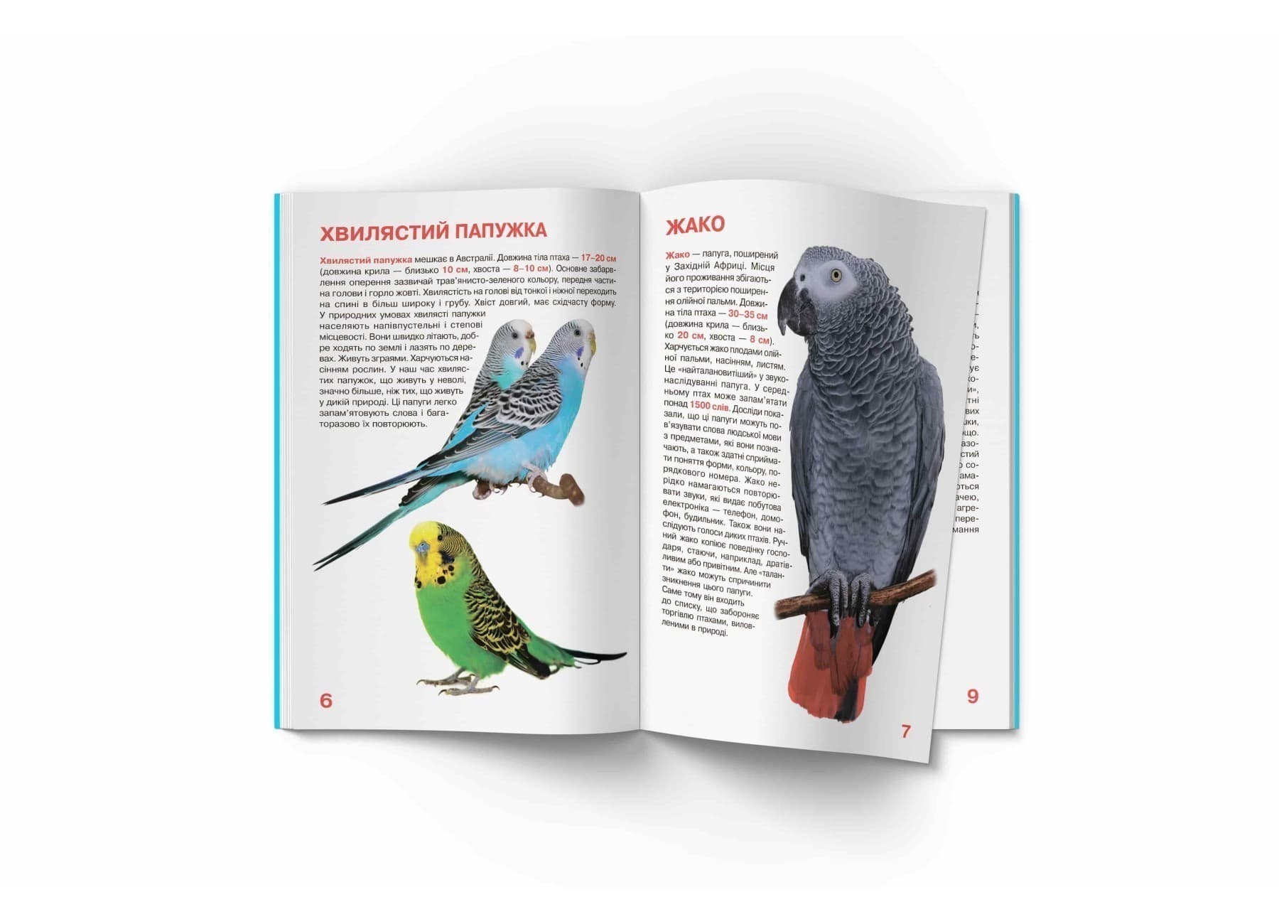 Велика книжка. Папуги, фото - 3