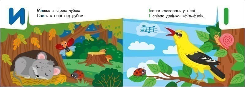 Абетка в лісі, фото - 3