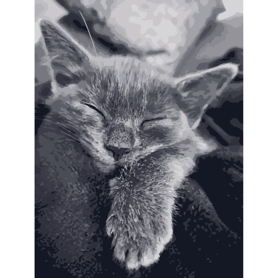 Набір для розпису &amp;quot;Котяча подяка&amp;quot; 40*50 см, фото - 1