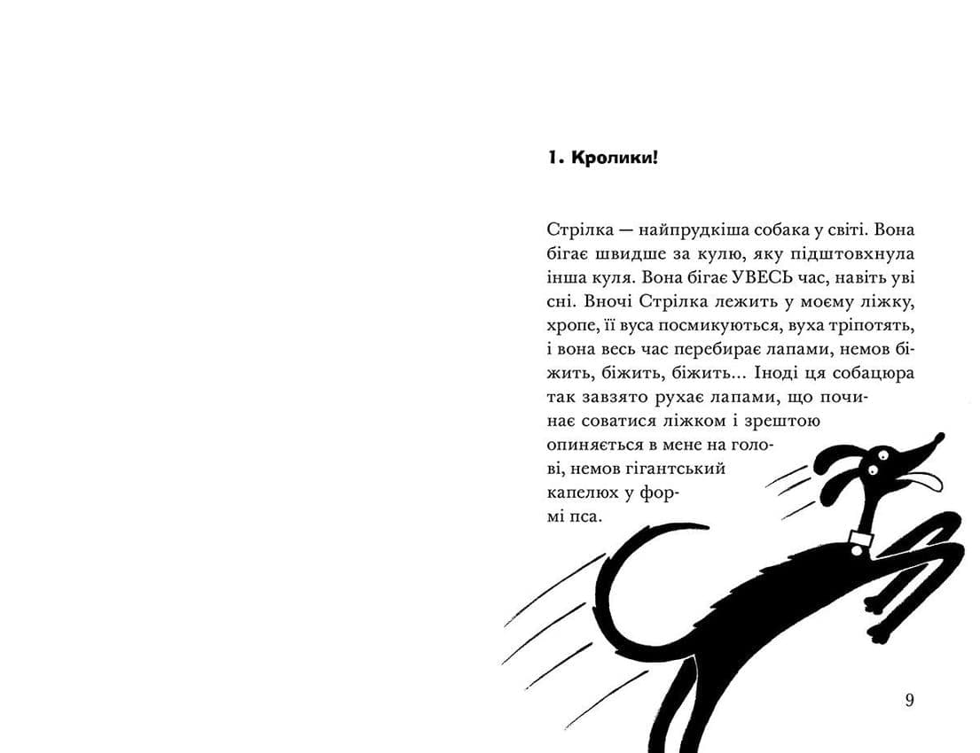 Ракета на чотирьох лапах під прикриттям, фото - 2