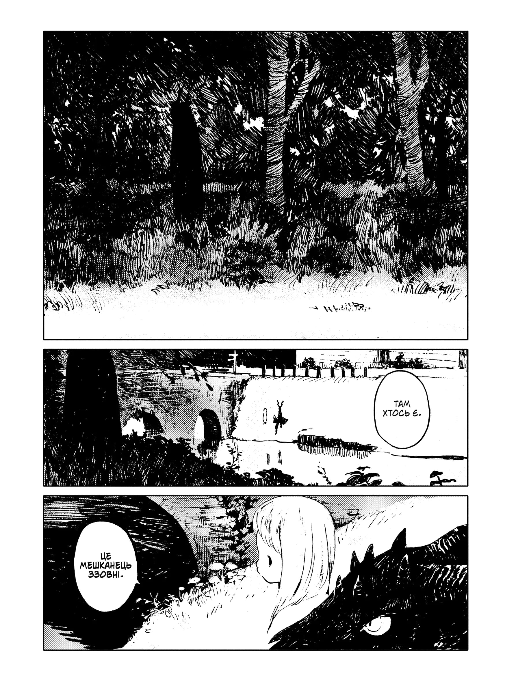 Дівчинка з того боку. Том 1, фото - 3