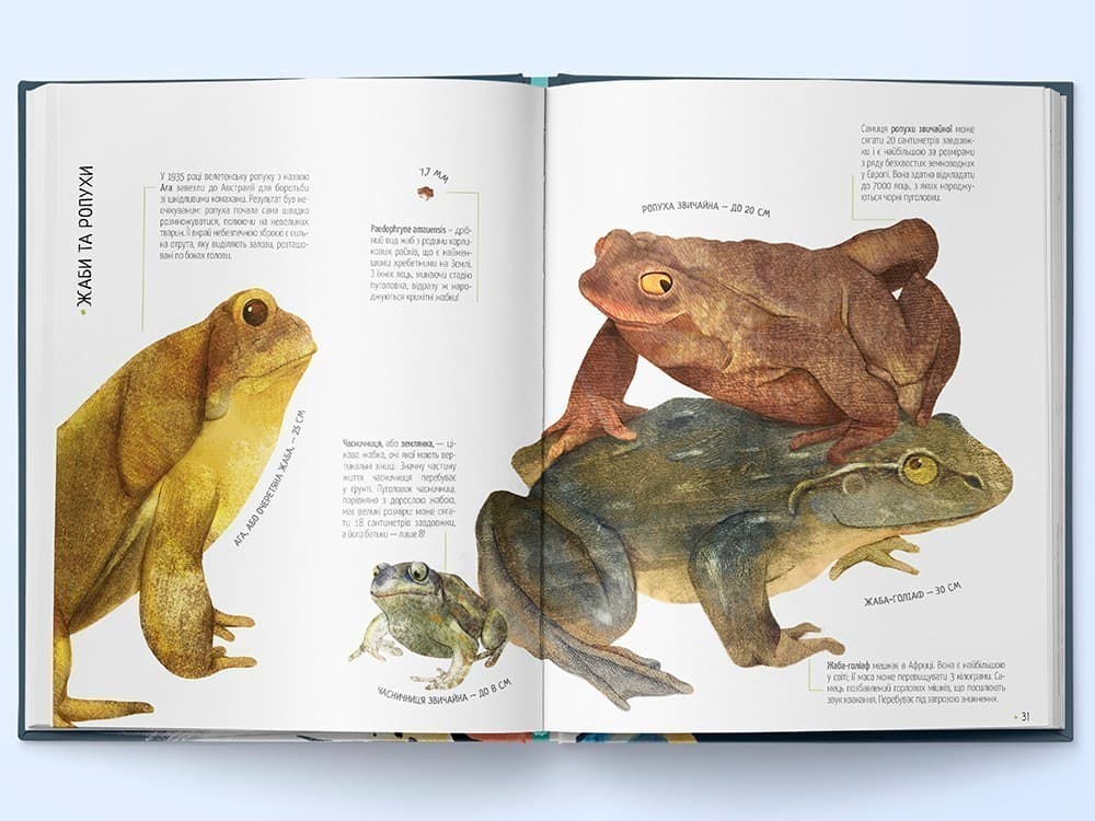 Тварини на всі 100%, фото - 3