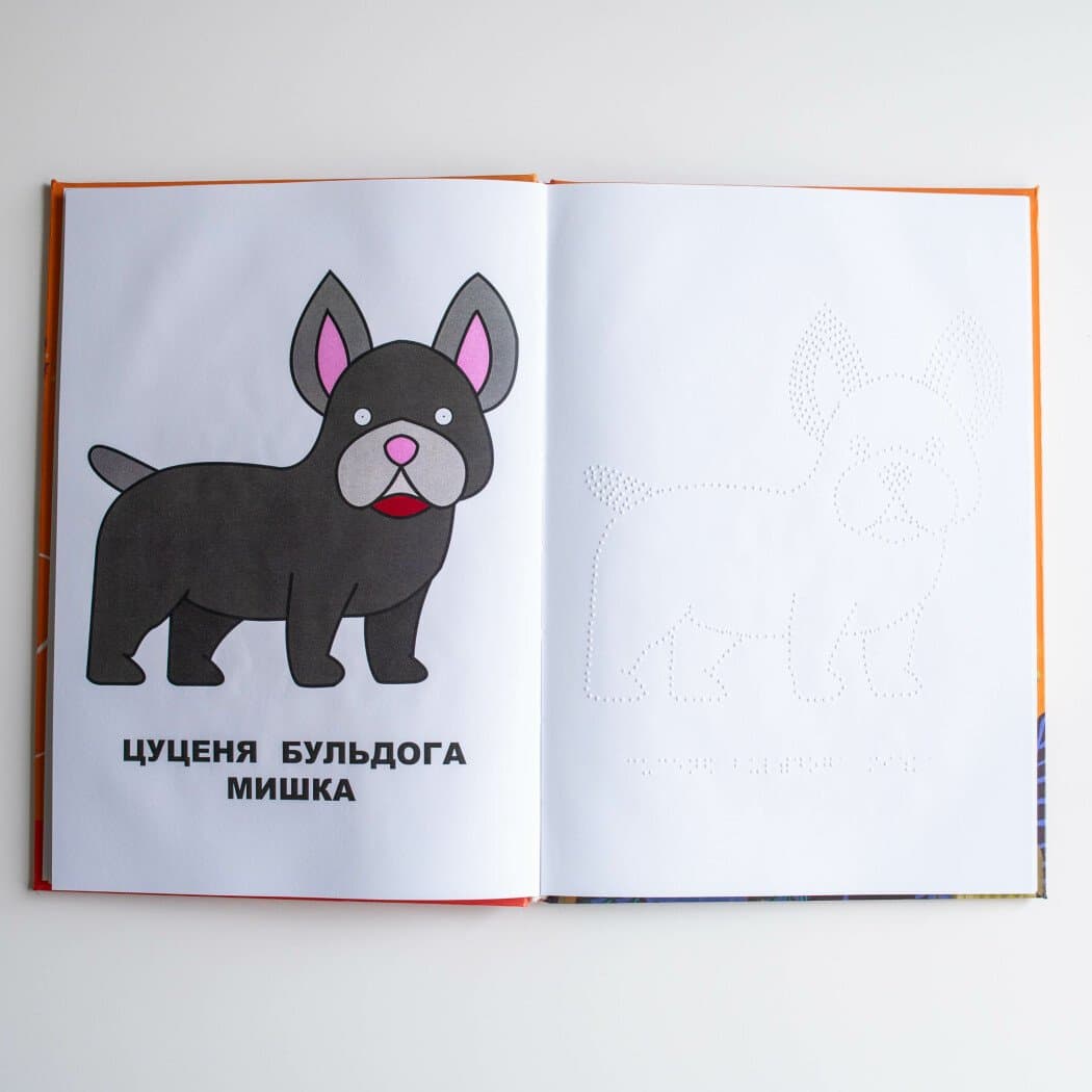 Книги Брайлем. Маленька собачка у пошуках великих сил, фото - 2