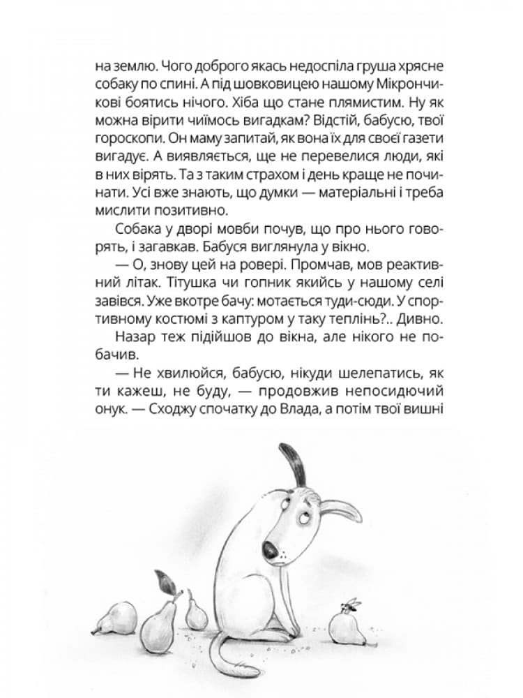 НЛО за селом, фото - 2