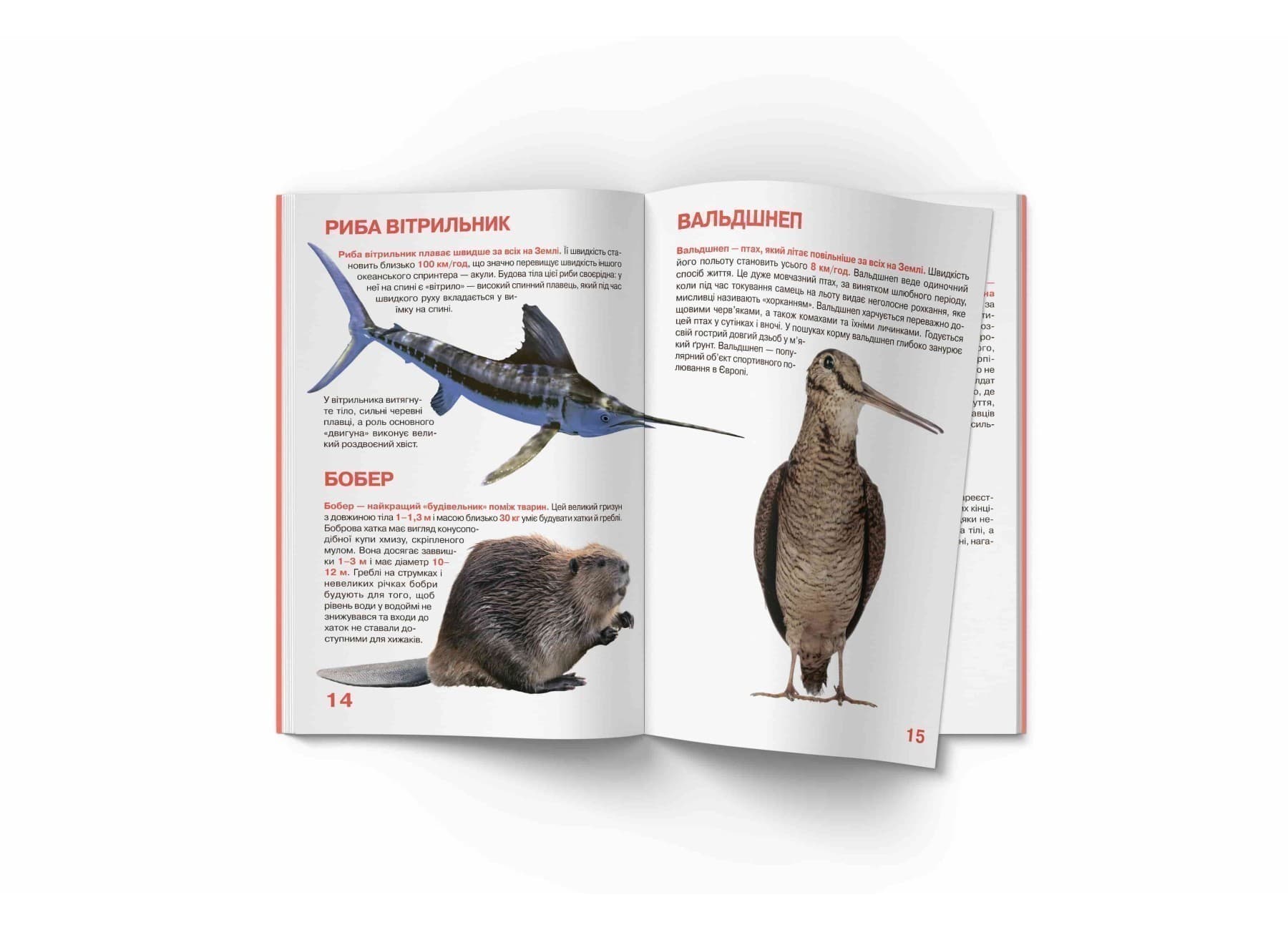 Велика книжка. Рекорди тваринного світу, фото - 2