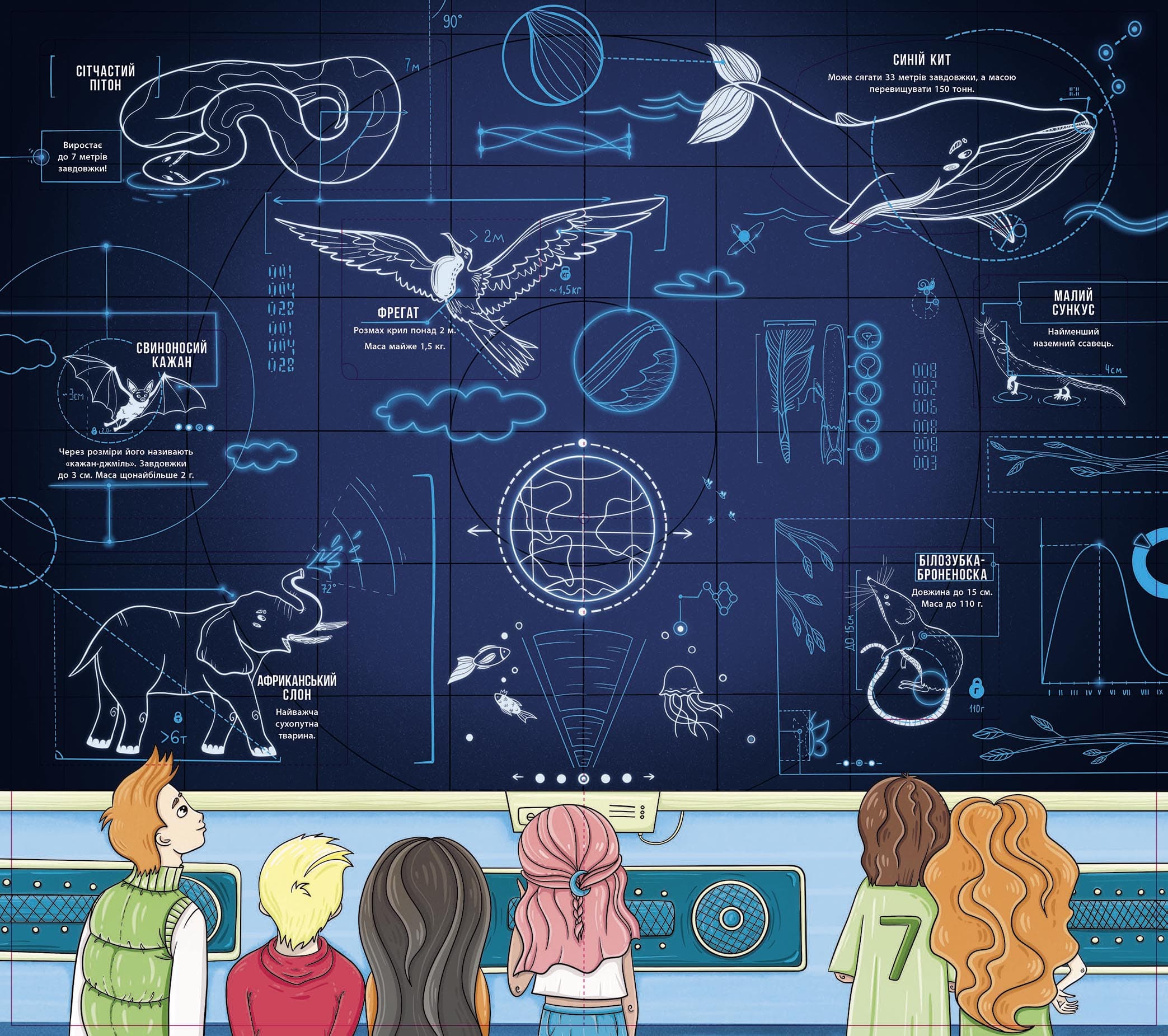 Енциклопедія з віконцями. Скелети і кістки, фото - 3