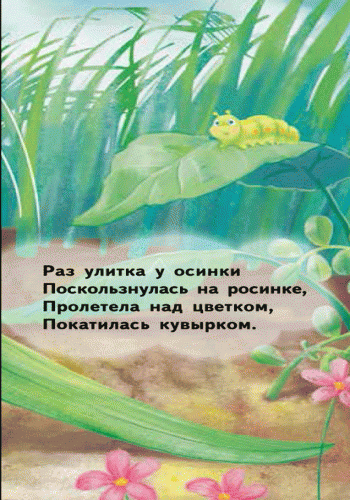 Улитка, фото - 3