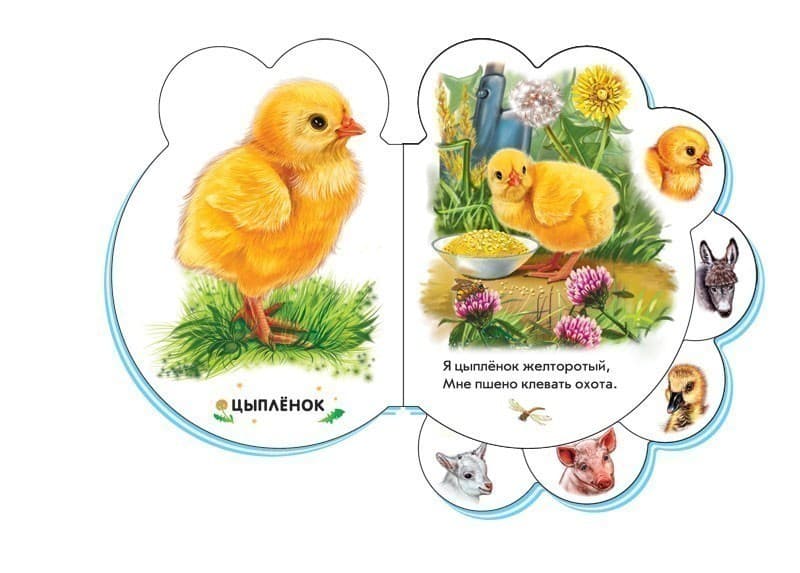 Во дворе, фото - 3