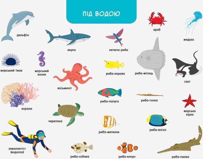 Хто і де?, фото - 2