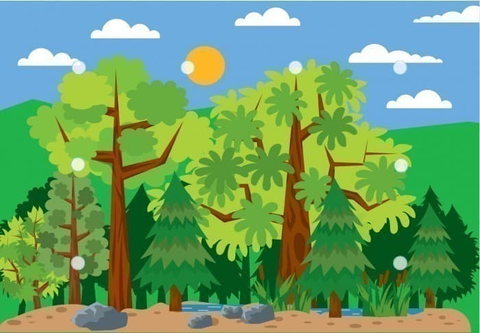 Вивчаємо світ тварин. Гра на липучках, фото - 2