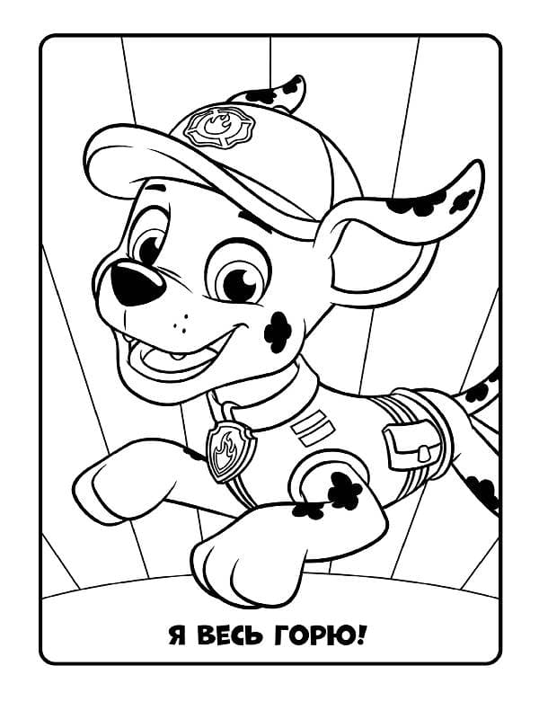 ЩП. Кольорові пригоди. Разом ми сила., фото - 2