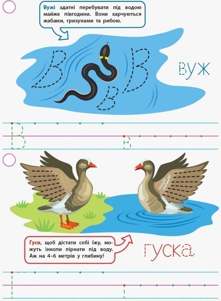 Прописи для розумників. Хто не плаває?, фото - 3