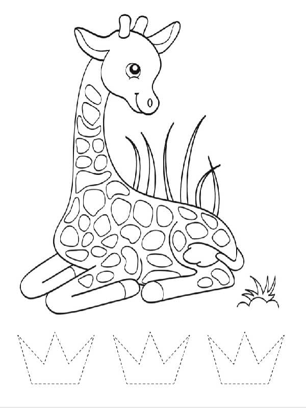 Леопард і компанія, фото - 2