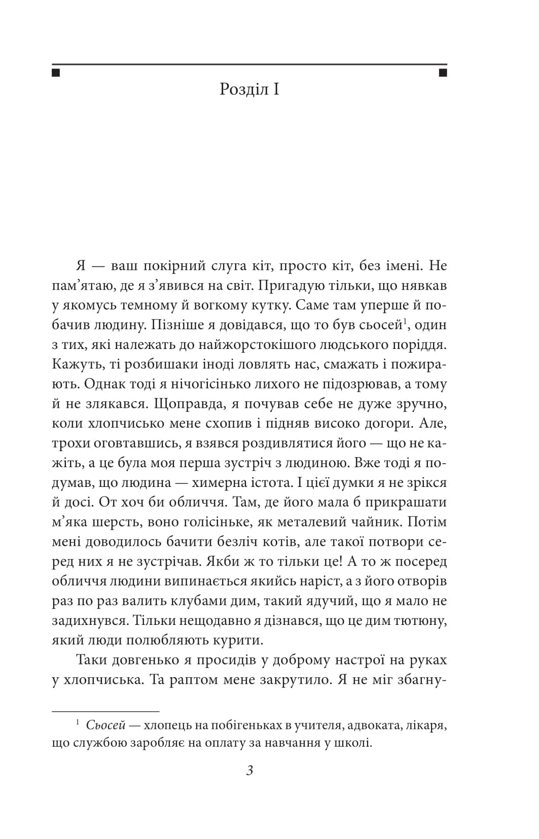 Ваш покірний слуга кіт, фото - 2