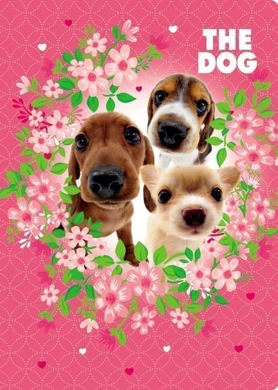 Папка картон на резинці &amp;quot;Песики&amp;quot; для дівчаток, фото - 2