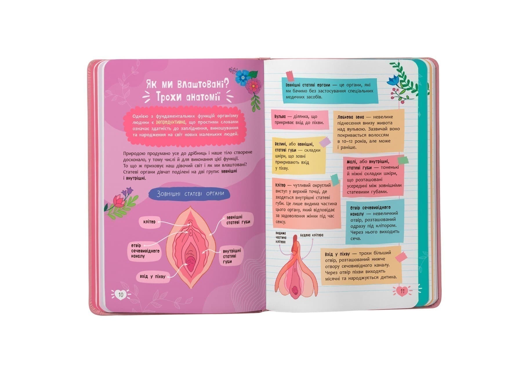 Путівник підлітка. Усе про місячні, фото - 3