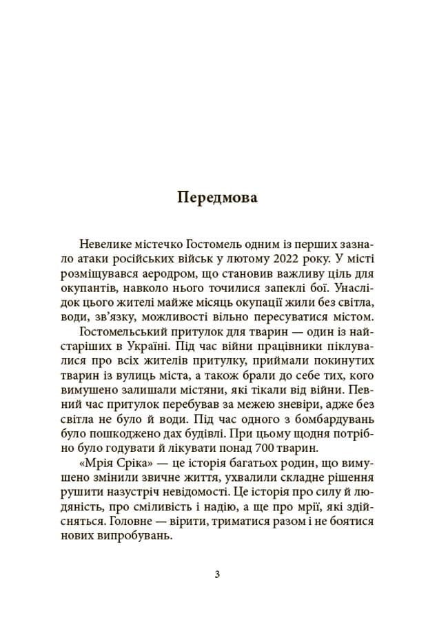 Мрія Сірка. Оповідання для дітей про людяність, сміливість і здійснення мрій, фото - 2