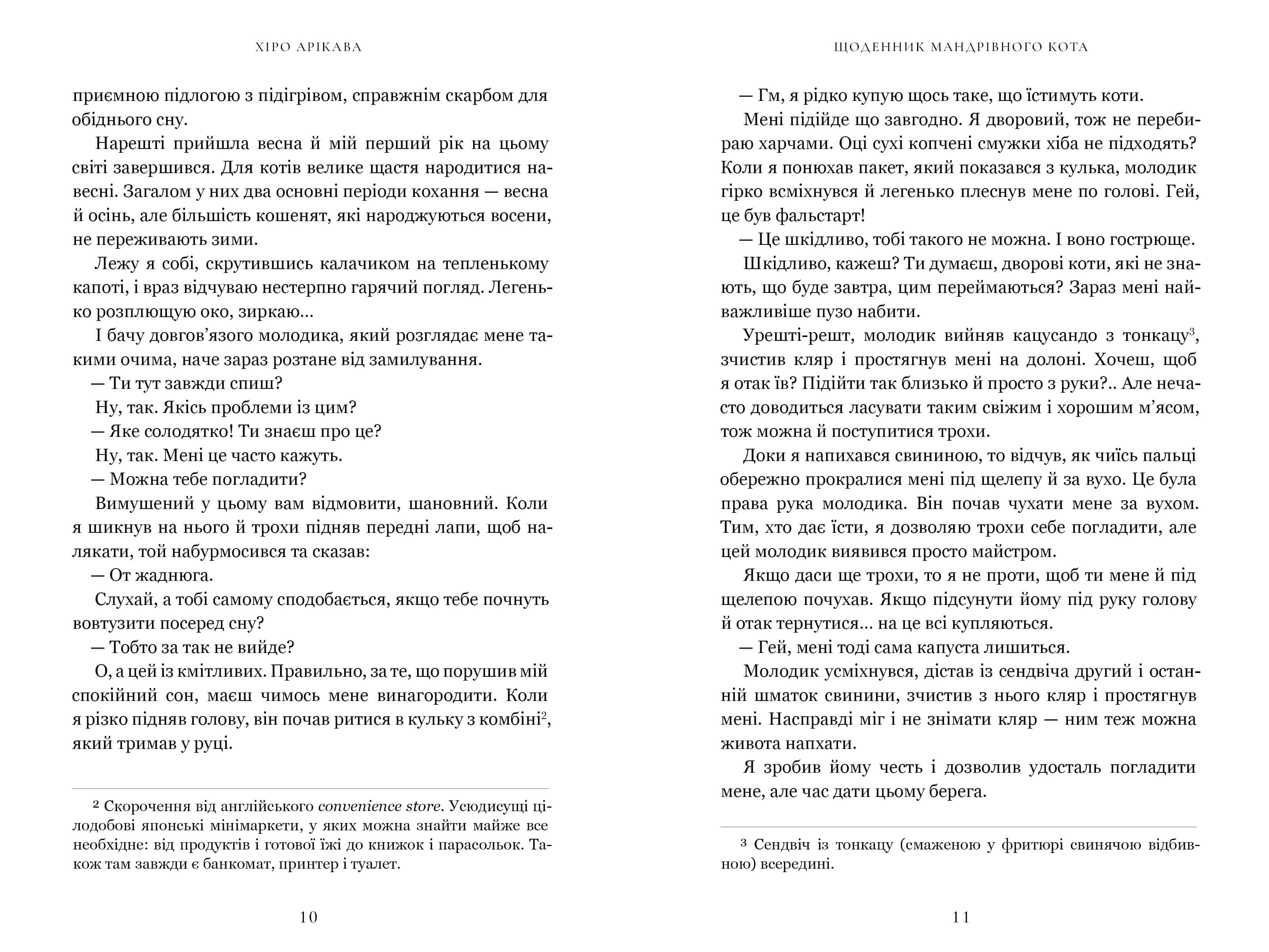 Щоденник мандрівного кота, фото - 2