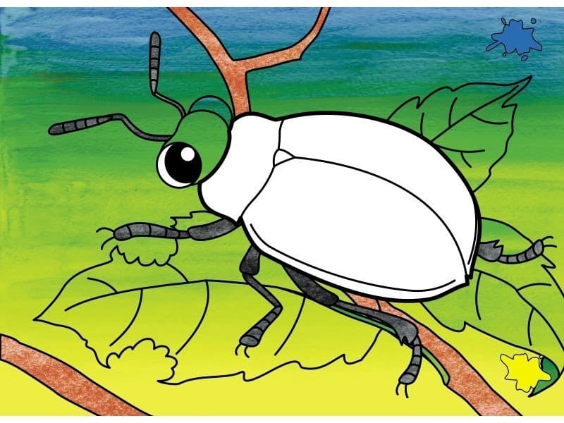 Кольори-друзі, фото - 3