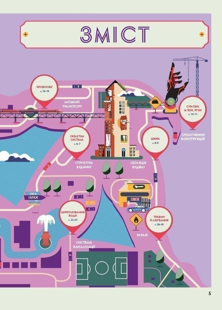 Анатомія, фото - 3