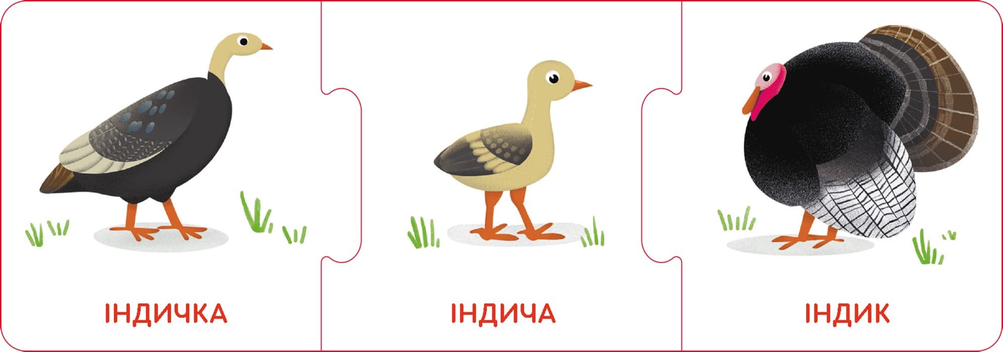 Логічні ланцюжки. Малюки тварини та їхні родини, фото - 2