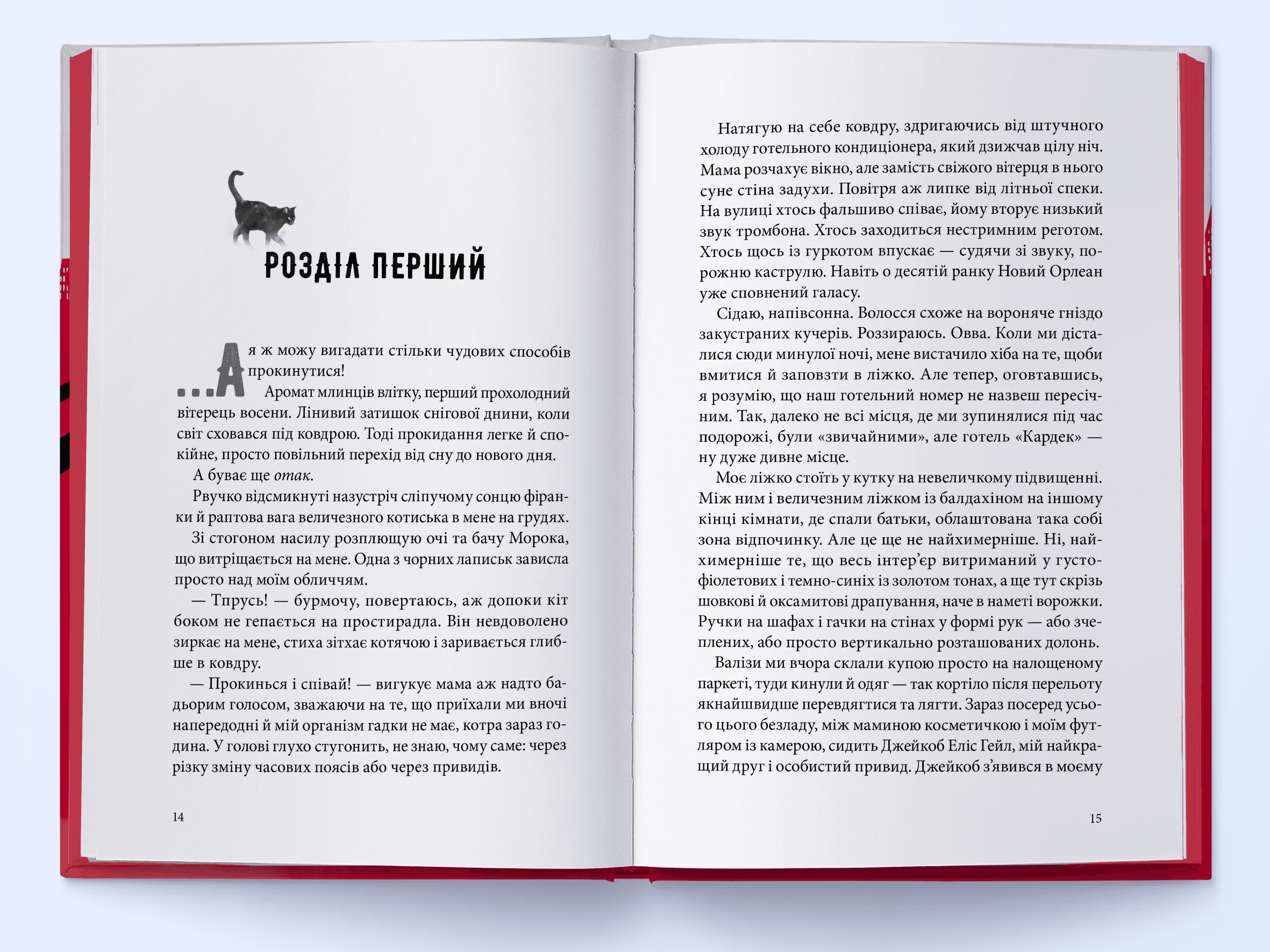 Міст душ. Книга 3 (Кессіді Блейк), фото - 2