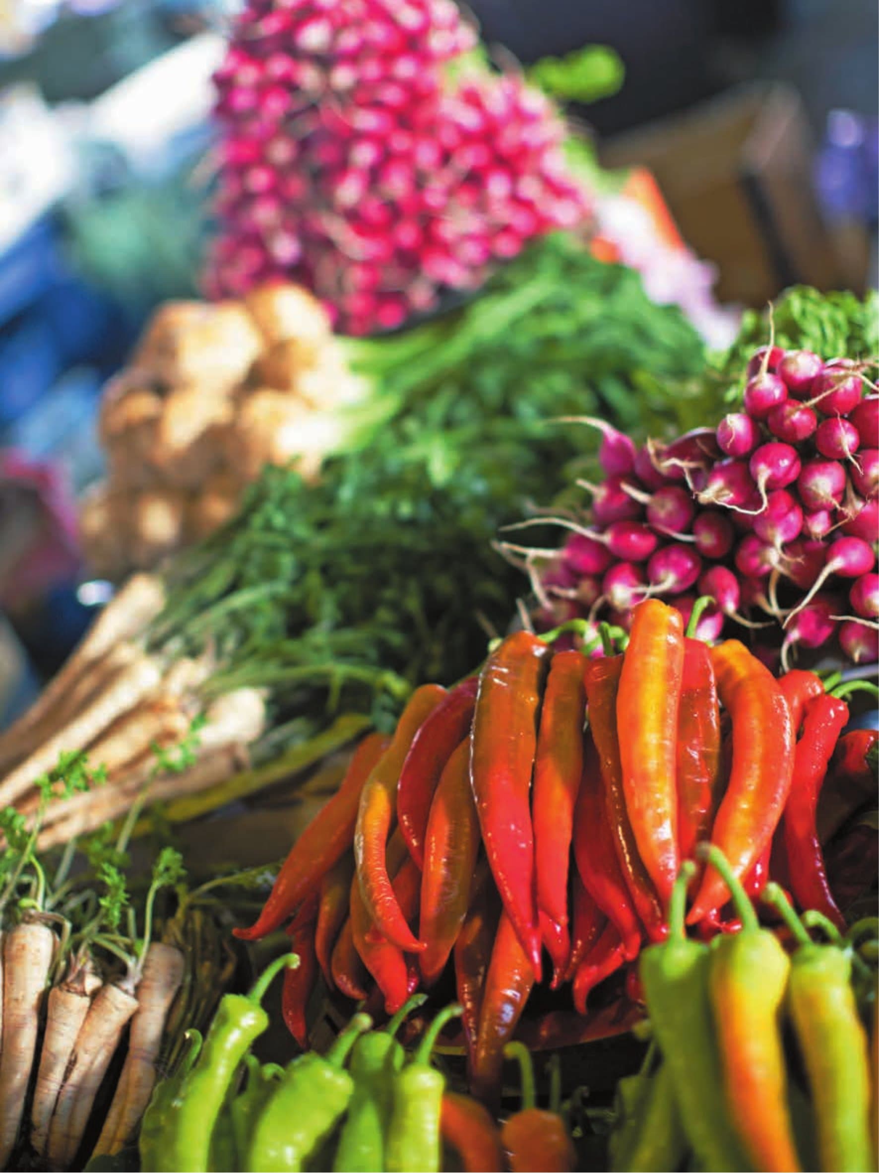 Моя одеська кухня, фото - 2