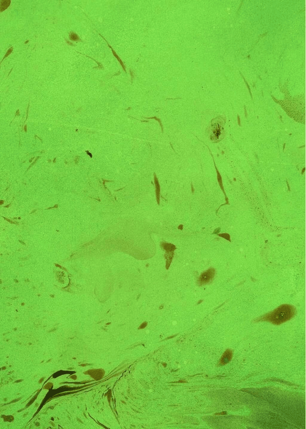 Зелене чаклунство. Як відкрити для себе магію квітів, трав, дерев, кристалів тощо, фото - 3