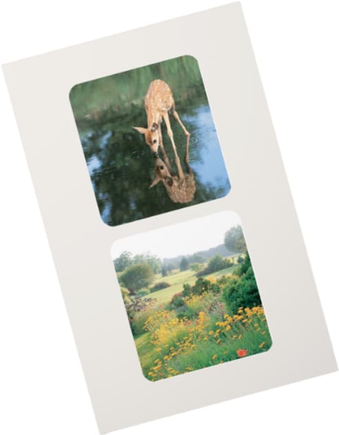 Об’ємні cтікери &amp;quot;Comfort zone&amp;quot;, фото - 1