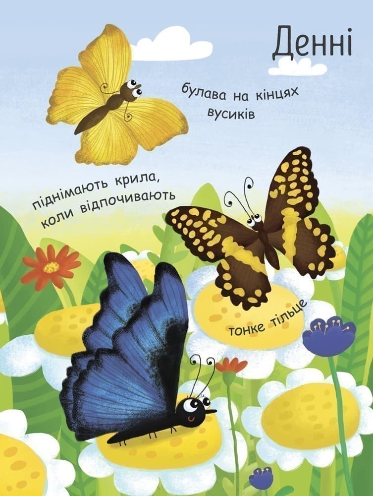 Як народжується метелик?, фото - 3