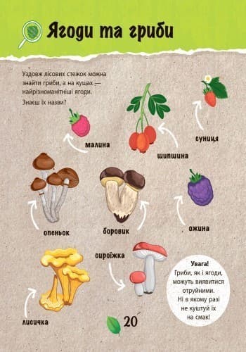 Зберегти ліс, фото - 3