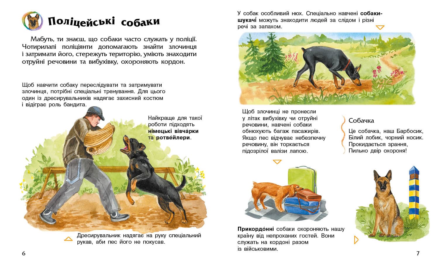 Собаки, фото - 2