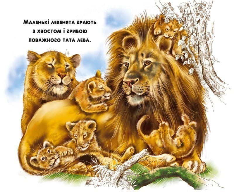 Мами і малята. Дикі тварини, фото - 2