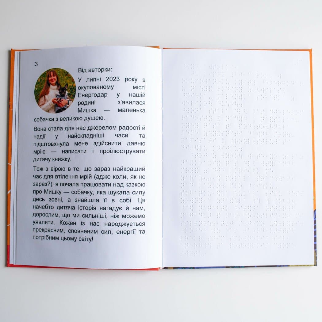 Книги Брайлем. Маленька собачка у пошуках великих сил, фото - 2