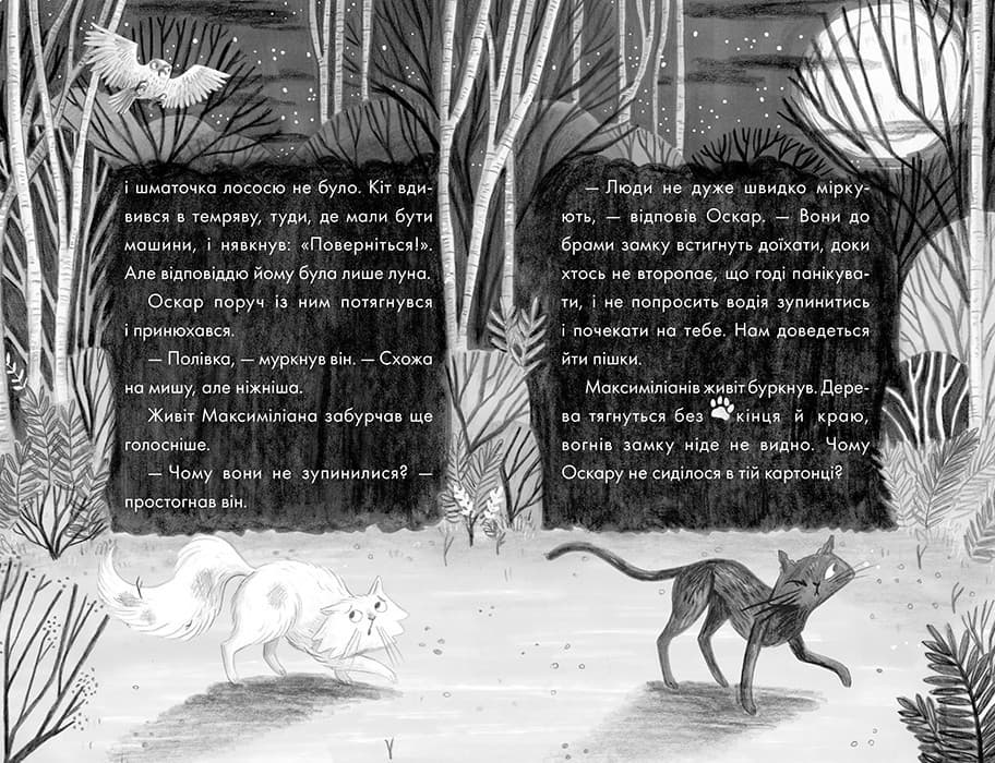 Портрет примари, фото - 2