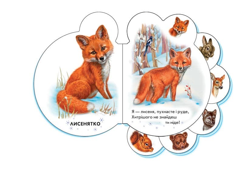 У лісі, фото - 2