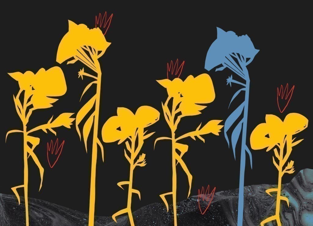 Вірші з бійниці, фото - 2