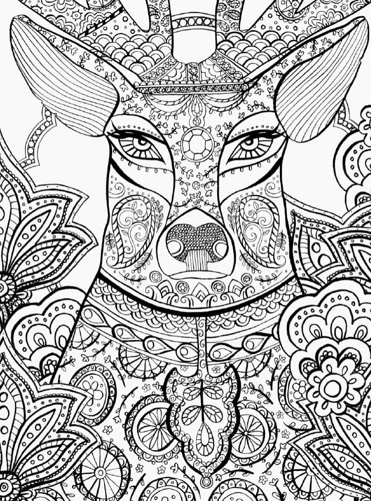 Книга джунглів, фото - 2