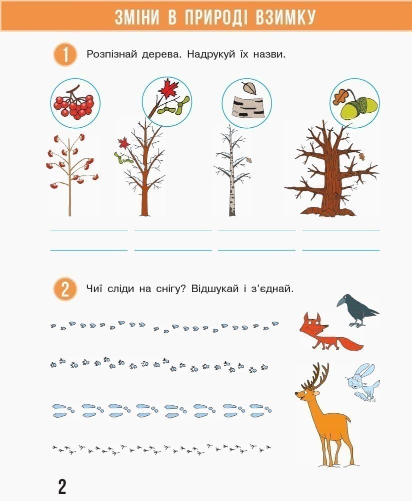 Я досліджую світ. 1 клас. Робочий зошит: У 2 частинах. Частина 2 (Бібік), фото - 3