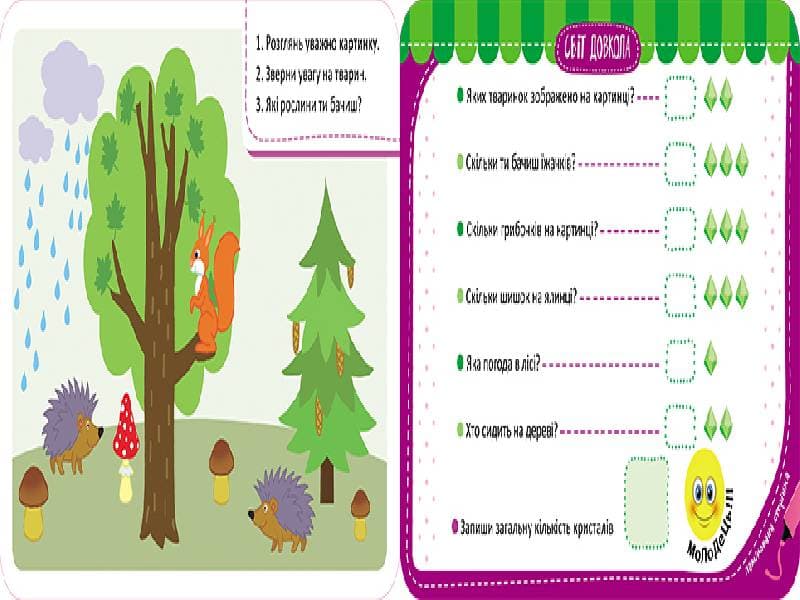 Гра-запам’ятайка. Світ довкола, фото - 3