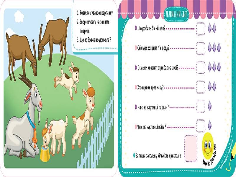Гра-запам’ятайка. Тваринний світ, фото - 3
