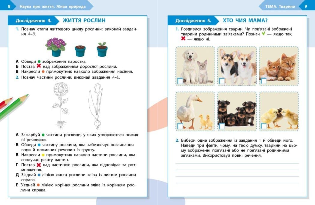 STEM-старт. 3 клас. Зошит для учня. Наука про життя, фото - 3