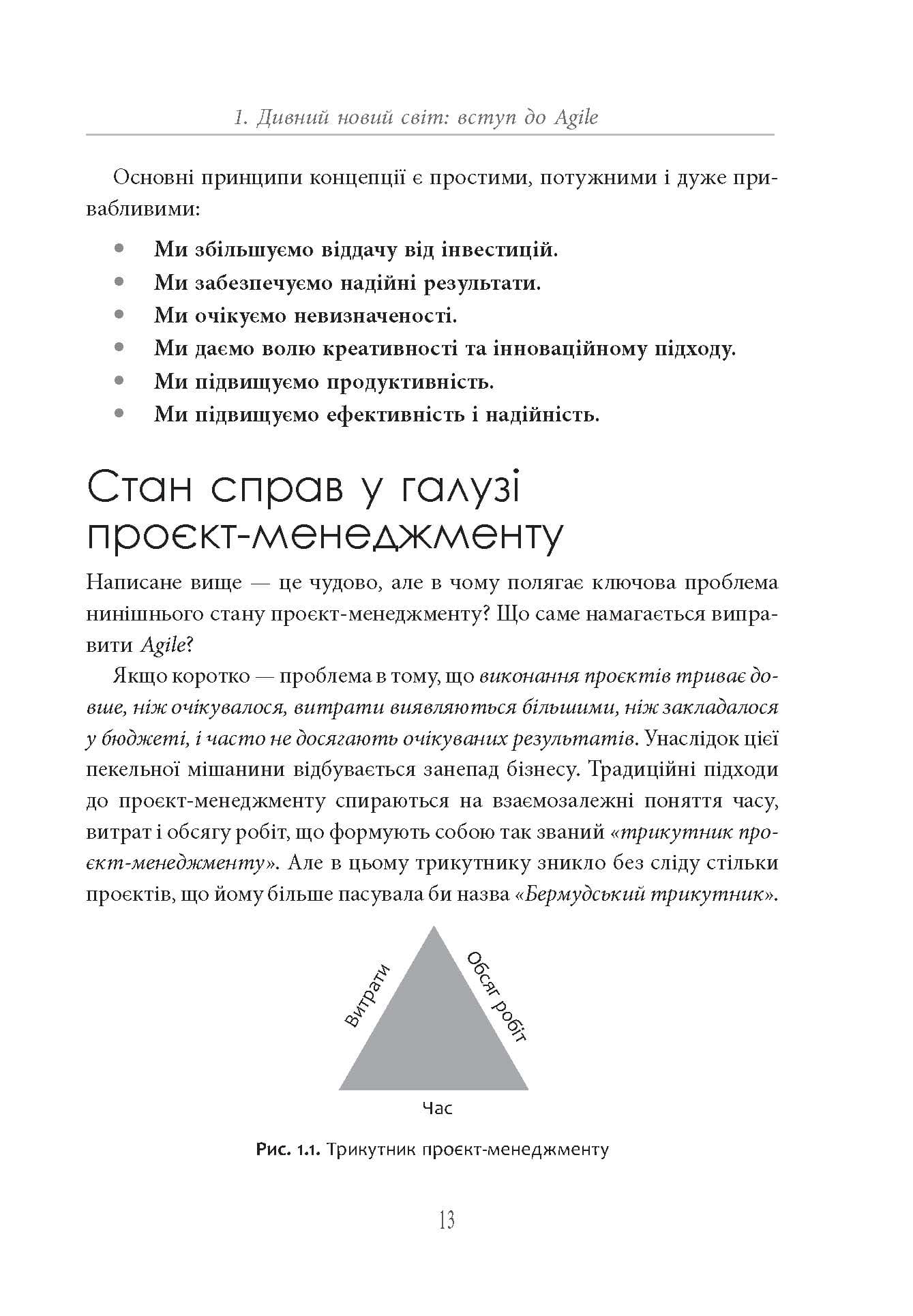 Блискучий Agile, фото - 3