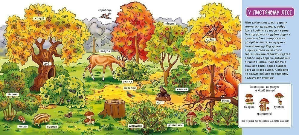 У лісі, фото - 3